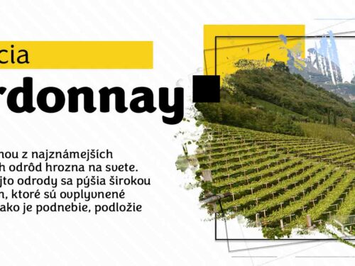 Degustácia vín: To najlepšie z odrody Chardonnay